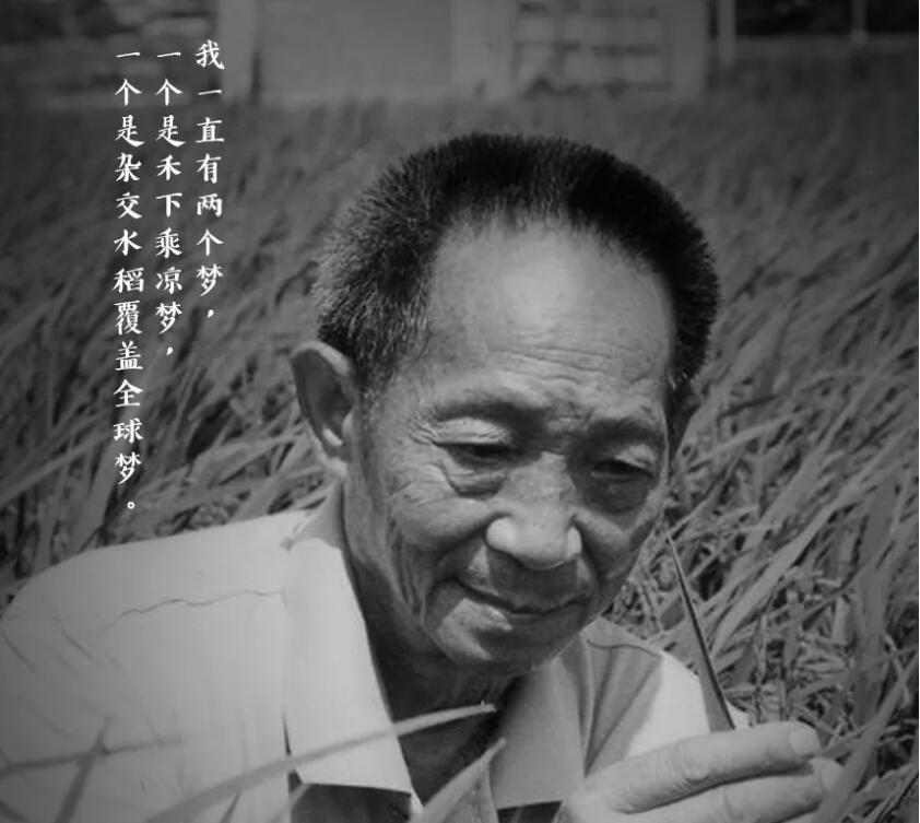 巨星陨落！袁隆平院士逝世，享年91岁