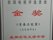 喜报——我校原创影视作品在四川省第八届中小学校园电视评选中取得优异成绩