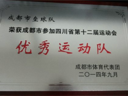 喜    报——我校垒球队获市级表彰！
