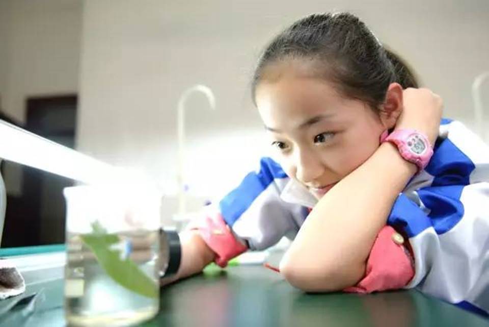 说明:http://mmbiz.qpic.cn/mmbiz_jpg/uPJ1csl0iaqSbeaNG8Lv9Wu5gWQErGy8ZUhNAwlzB0d9bfceiaVBUajgEmj1BQbKCPKH4r7VJHLVjjicGZ1tpGDWQ/640?wx_fmt=jpeg&wxfrom=5&wx_lazy=1