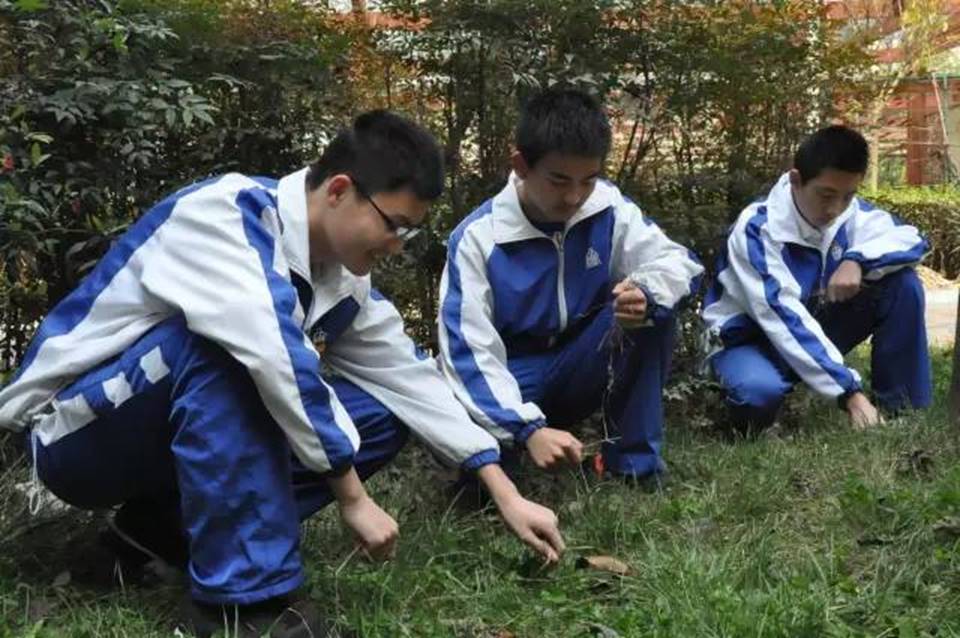说明:http://mmbiz.qpic.cn/mmbiz_jpg/uPJ1csl0iaqSbeaNG8Lv9Wu5gWQErGy8Zd2OricmjZfhx0fN8GkMywjicfKbuMcLObtnLjEONca9EYibF9OJQfcYxg/640?wx_fmt=jpeg&wxfrom=5&wx_lazy=1