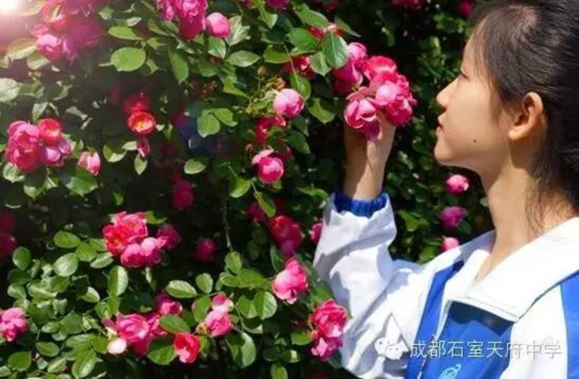 说明:http://mmbiz.qpic.cn/mmbiz/uPJ1csl0iaqRwNlmnK6Po98SAMspxo8fIBOsYglyUsIu8usFjvBqH9BnmwH3OdOrmlfpClz00A5F1A7skDLKUwA/640?wx_fmt=jpeg&wxfrom=5&wx_lazy=1