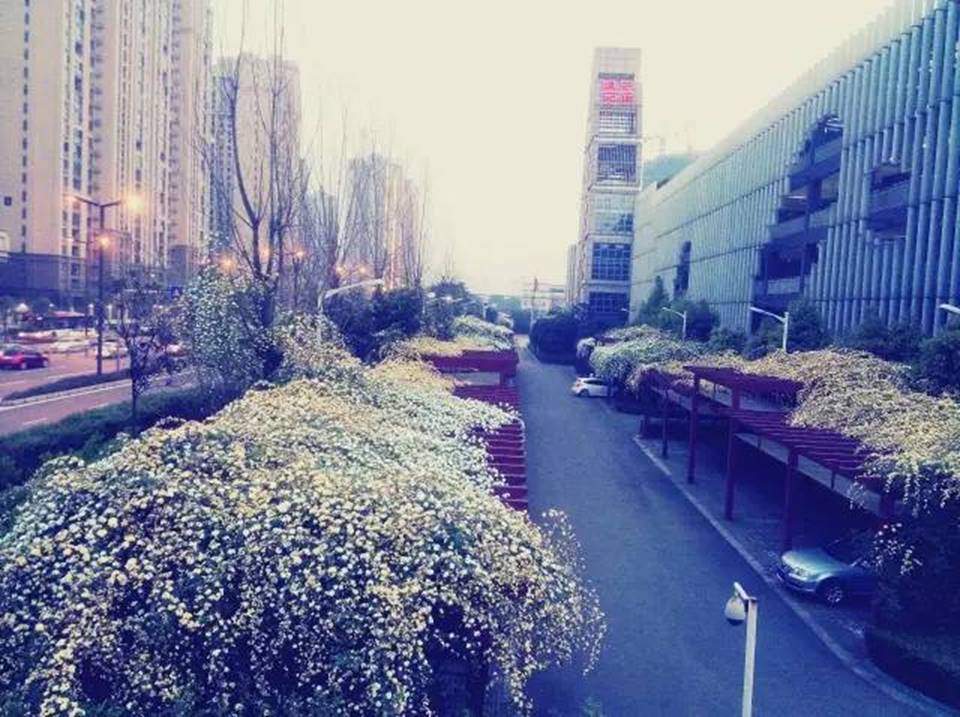 说明:http://mmbiz.qpic.cn/mmbiz_jpg/uPJ1csl0iaqSbeaNG8Lv9Wu5gWQErGy8ZGmViaWYQKqREMmyuZkPJU8OiaJ7ToInrTSVqia5OdCJOdvBBXXmkDXGMQ/640?wx_fmt=jpeg&wxfrom=5&wx_lazy=1