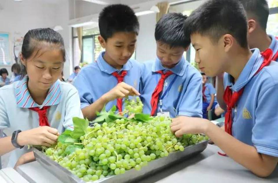 说明:http://mmbiz.qpic.cn/mmbiz_jpg/uPJ1csl0iaqSbeaNG8Lv9Wu5gWQErGy8Zb4kArB85vO6yZdJR5NkPXC2D3mApa3yicxgx2UdYksVMMpD2F83AuCw/640?wx_fmt=jpeg&wxfrom=5&wx_lazy=1