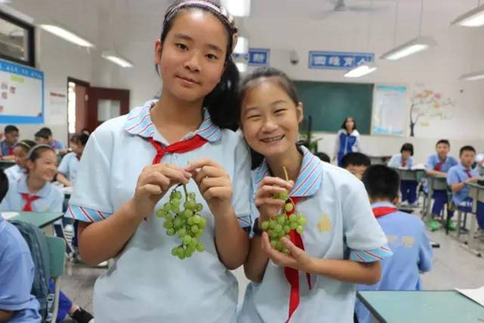 说明:http://mmbiz.qpic.cn/mmbiz_jpg/uPJ1csl0iaqSbeaNG8Lv9Wu5gWQErGy8Z703gWAxEib2b0ZuTicAY1ia5nSrhGfUqhScFicj0saQZ9v8naH9lY27T8w/640?wx_fmt=jpeg&wxfrom=5&wx_lazy=1