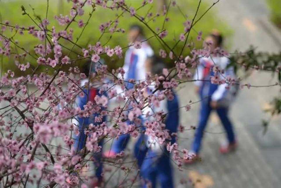 说明:http://mmbiz.qpic.cn/mmbiz_jpg/uPJ1csl0iaqSbeaNG8Lv9Wu5gWQErGy8Z62SW464QT8vreibaKeSQJnnjyQ197fzcvIo9LkkTylKFbJs1raegMyg/640?wx_fmt=jpeg&wxfrom=5&wx_lazy=1