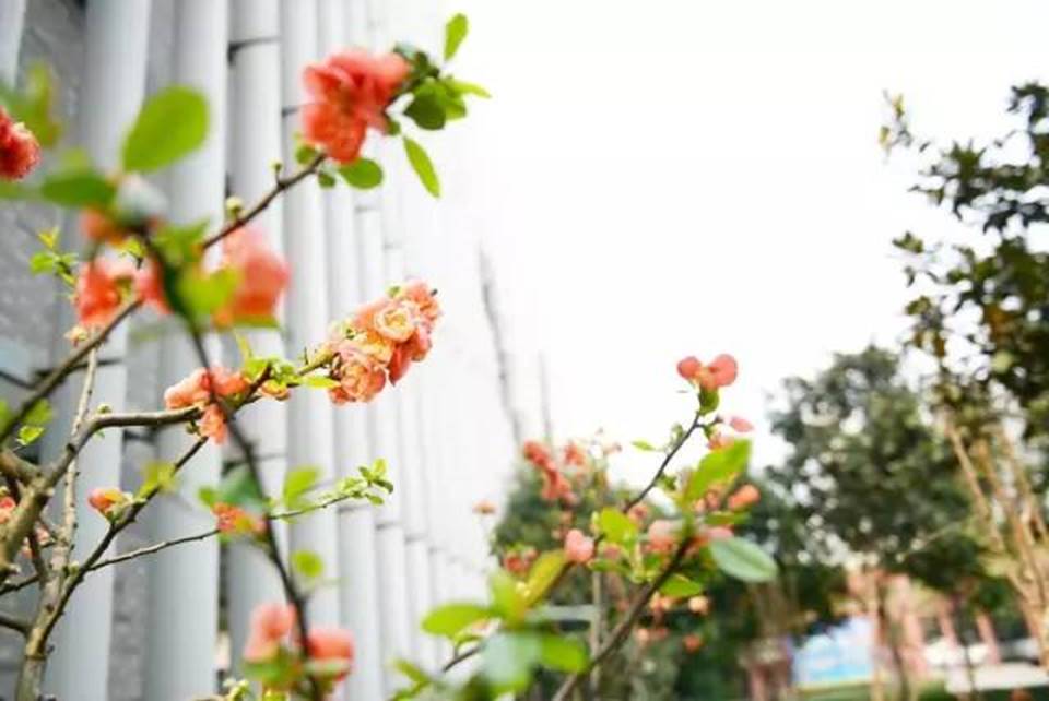 说明:http://mmbiz.qpic.cn/mmbiz_jpg/uPJ1csl0iaqSbeaNG8Lv9Wu5gWQErGy8Zvk405ibBfIU7mljibIYmjZAufUDv67GvfN9VsTggEYZdwfw01PaynNiaQ/640?wx_fmt=jpeg&wxfrom=5&wx_lazy=1